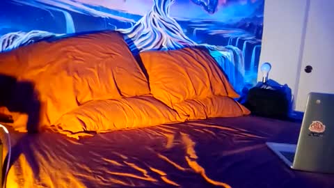 a_bad_guy_duh online show from February 2026 10:19:01 AM