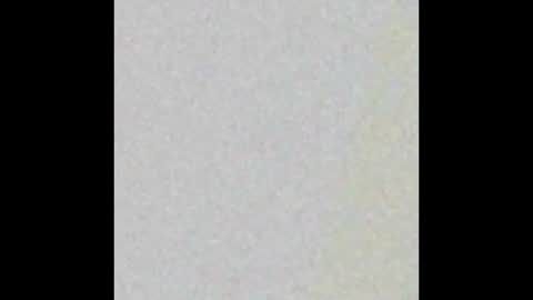 Aaliyah Wesler Tacchini online show from September 2025 01:51:02 AM