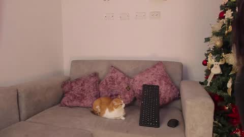 Snapshot of abbey_allen chatting on December 2024 11:45:02 PM Abbey  IG abby allenn  04 December Online at  I will be on vacation dont forget me  See you soon   online show from December 2024 11:45:02 PM