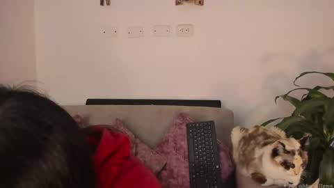 Snapshot of abbey_allen chatting on March 2025 11:38:02 PM Abbey  IG abby allenn  04 December Online at  I will be on vacation dont forget me  See you soon   online show from March 2025 11:38:02 PM