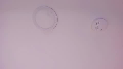 A B B Y online show from February 2026 11:58:01 AM