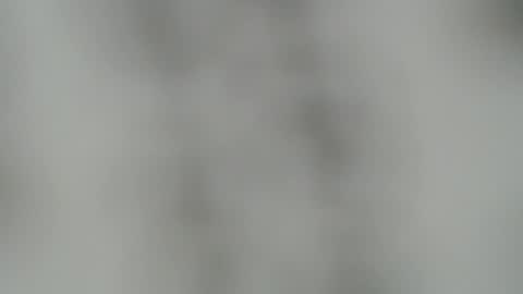 ABBY online show from December 2024 03:44:01 PM