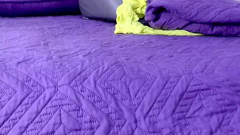 Abigail online show from January 2026 02:58:02 AM