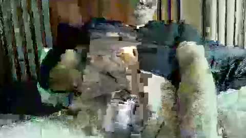 ace1man online show from October 2025 01:53:02 PM