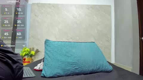 ada_brooke online show from October 2025 03:39:02 AM