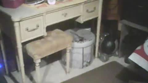 Snapshot of adamsny chatting on January 2025 08:30:02 AM adamsny online show from January 2025 08:30:02 AM