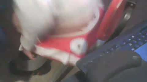 Snapshot of adamsny chatting on January 2025 07:04:01 AM adamsny online show from January 2025 07:04:01 AM