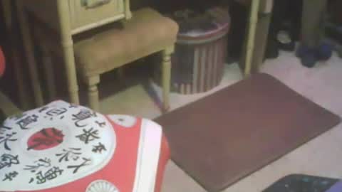 Snapshot of adamsny chatting on February 2025 08:17:01 AM adamsny online show from February 2025 08:17:01 AM