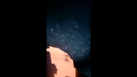 adarkvid420tj online show from January 2026 05:01:01 AM