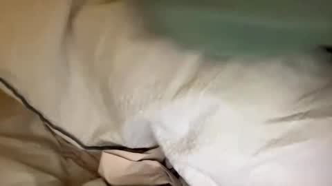 adriiiii online show from January 2025 08:11:02 PM