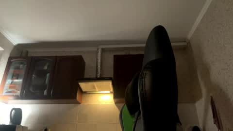 Snapshot of aevra chatting on December 2024 02:24:01 AM vegans taste better online show from December 2024 02:24:01 AM