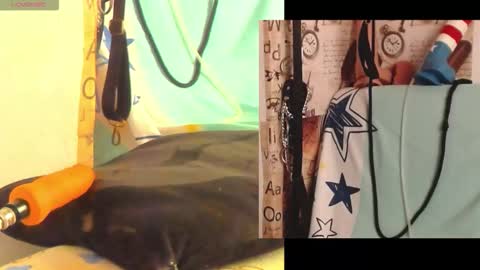 afroditacute16 online show from February 2026 01:55:01 PM