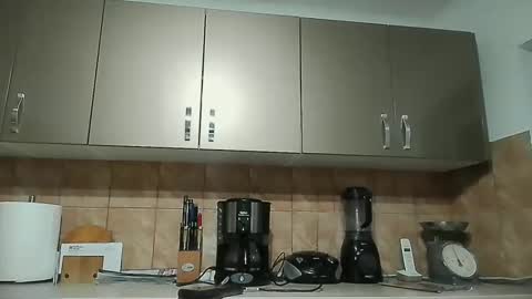 malasorte online show from December 2024 08:44:01 PM