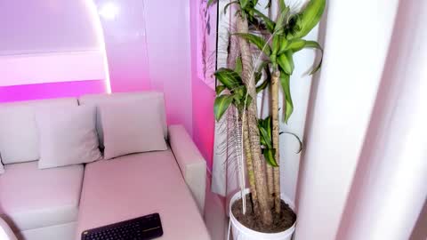   online show from December 2025 02:06:01 AM