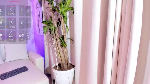   online show from December 2025 01:56:02 AM