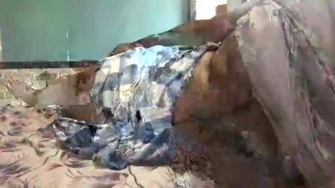 Snapshot of ajeeb_najeeb chatting on December 2024 06:32:02 AM BigHairyGuy online show from December 2024 06:32:02 AM