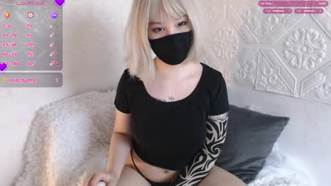 Amilia online show from October 2025 06:33:01 AM