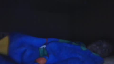 Snapshot of aledewalt chatting on December 2024 12:03:01 PM call me on skp alexdewalt online show from December 2024 12:03:01 PM