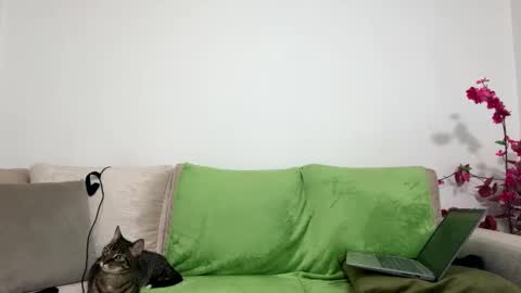 alejo__twinkboy online show from January 2025 08:11:02 AM