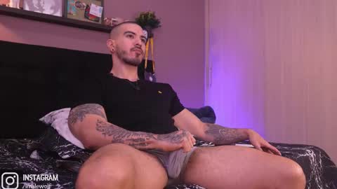 Snapshot of alejo_wolf chatting on February 2026 01:32:01 AM Alejo online show from February 2026 01:32:01 AM