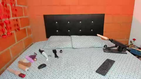 Snapshot of aleska_swarovski chatting on February 2025 06:21:01 PM Aleska 3 online show from February 2025 06:21:01 PM