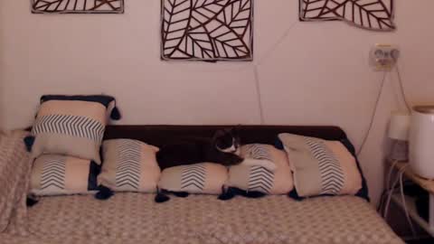 Snapshot of alessandra_foxy chatting on February 2025 08:09:02 PM Sandra online show from February 2025 08:09:02 PM