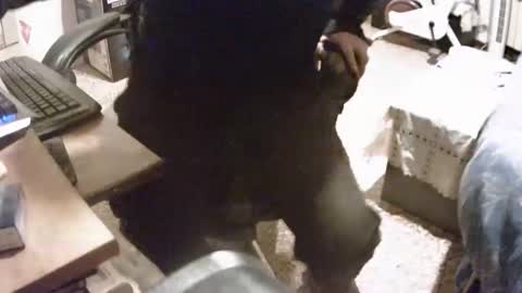 alex81pv1981 online show from December 2024 06:50:01 PM