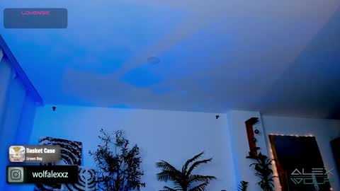 Alex Wolf online show from January 2025 05:21:02 AM