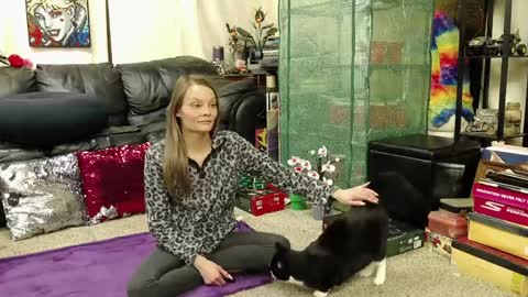 Snapshot of alexagwonderland chatting on January 2025 04:43:01 AM Alexa GW online show from January 2025 04:43:01 AM