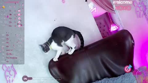 Snapshot of alexandra_evanz chatting on January 2025 01:09:01 PM Alexandra Spellman online show from January 2025 01:09:01 PM