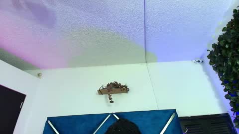 Snapshot of alexarousse4u chatting on February 2026 01:47:02 AM Alexa online show from February 2026 01:47:02 AM