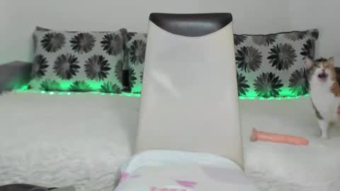 Snapshot of alexatight chatting on January 2025 11:23:02 AM Alexa online show from January 2025 11:23:02 AM