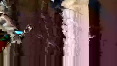 Snapshot of alexey932 chatting on November 2025 10:03:01 AM alexey932 online show from November 2025 10:03:01 AM