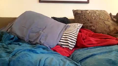 Snapshot of alexinside_you chatting on October 2025 12:33:02 AM Alexinside you online show from October 2025 12:33:02 AM