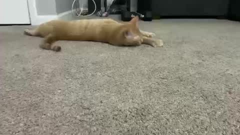 alexispaige06 online show from October 2025 07:01:02 PM