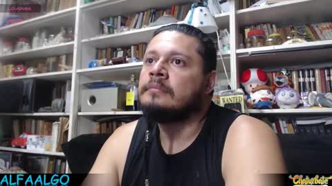 Alfa online show from February 2026 06:33:02 AM