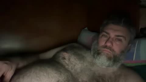 Snapshot of alfali chatting on February 2026 08:40:02 PM alfali online show from February 2026 08:40:02 PM