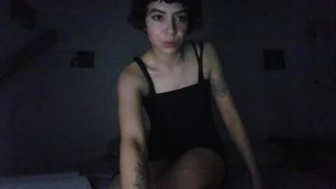 Snapshot of alice_fairy_ chatting on July 2026 08:01:02 AM alice_fairy_ online show from July 2026 08:01:02 AM