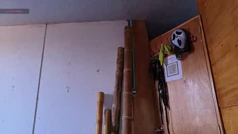 alice_randyy online show from February 2026 01:17:01 PM