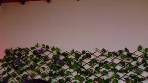 alice_rous21 online show from October 2025 01:54:02 PM