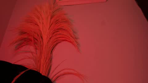 ALICE  online show from October 2025 03:14:01 AM