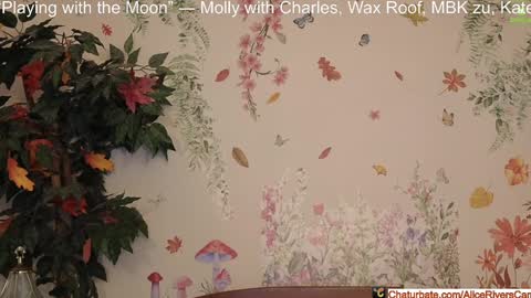 Alice Rivers ---- Enter my public Discord-  online show from January 2025 09:31:01 PM