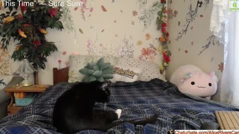 Alice Rivers ---- Enter my public Discord-  online show from January 2025 08:40:02 PM