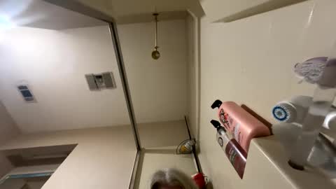 Alices Curiosity online show from December 2024 06:31:02 PM