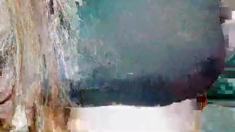 alisesexydoll777 online show from December 2024 04:54:01 PM