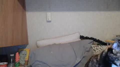 Snapshot of alishaluv chatting on June 2026 12:22:01 PM Alisha online show from June 2026 12:22:01 PM