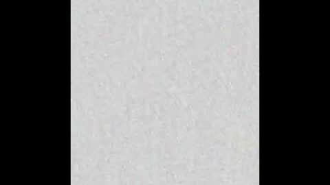 Alisse online show from November 2025 12:04:02 PM