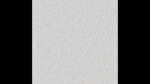 Alisse online show from November 2025 12:04:01 PM