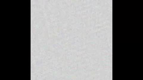 Alisse online show from January 2026 11:57:02 AM