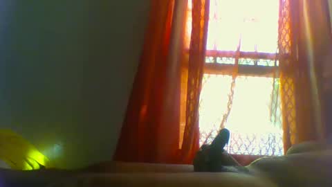 allbermy online show from September 2025 12:06:01 PM